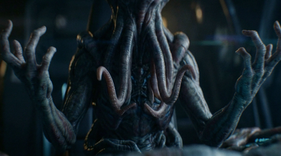 VOIDGUARD Spec Short by Bildreich Hamburg